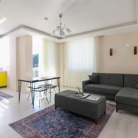 Apartman Msc